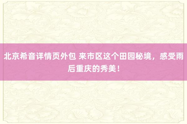 北京希音详情页外包 来市区这个田园秘境，感受雨后重庆的秀美！