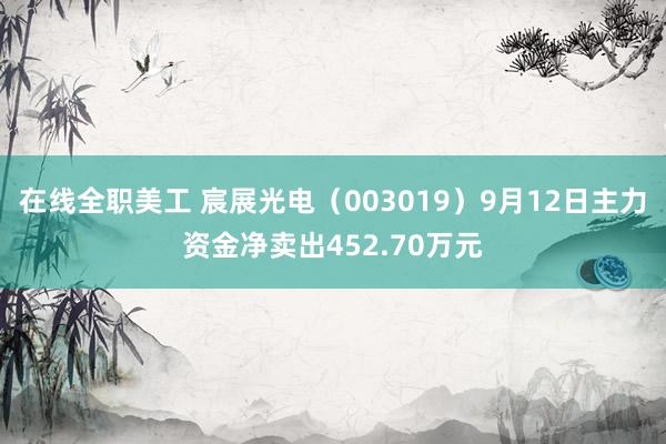 在线全职美工 宸展光电（003019）9月12日主力资金净卖出452.70万元