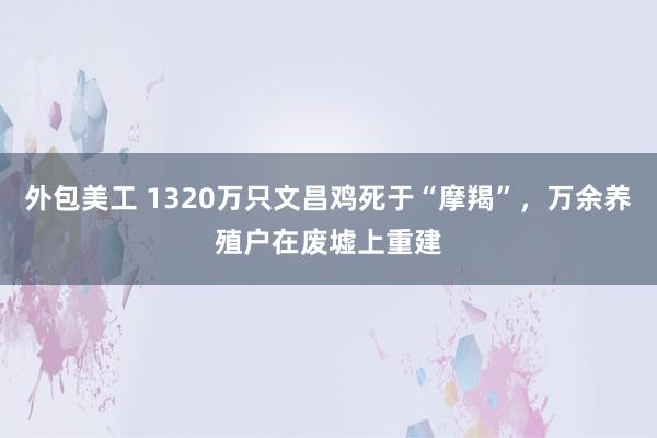 外包美工 1320万只文昌鸡死于“摩羯”，万余养殖户在废墟上重建