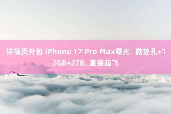 详情页外包 iPhone 17 Pro Max曝光: 微挖孔+12GB+2TB, 直接起飞