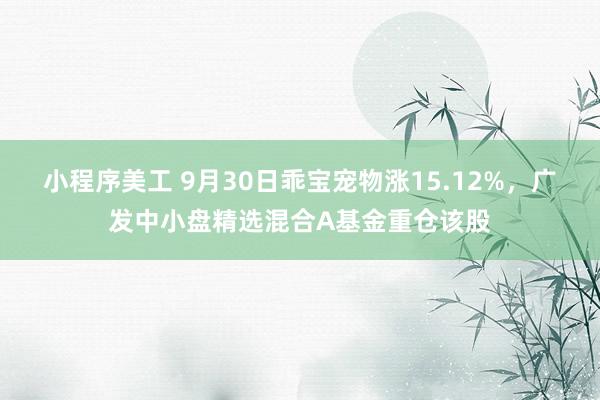 小程序美工 9月30日乖宝宠物涨15.12%，广发中小盘精选混合A基金重仓该股