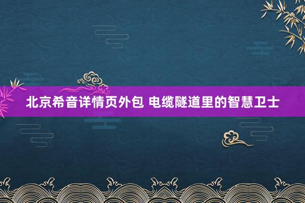 北京希音详情页外包 电缆隧道里的智慧卫士